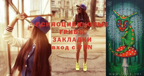 меф Болотное